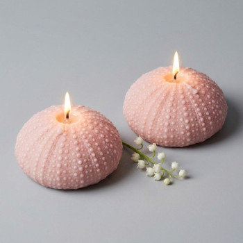 Molde de silicone coral redondo para fazer sabonetes e artesanato.