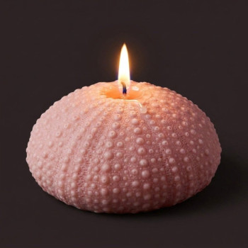 Molde de silicone coral redondo para fazer sabonetes e artesanato.