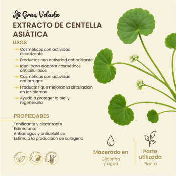Centella asiatica Extrakt für die Haut. Online-Verkauf