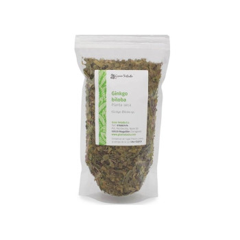 Kaufen Sie Gingko Biloba-Blätter in großen Mengen. Online-Verkauf, mit Lagerbestand.