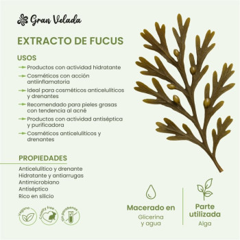 Fucus-Extrakt für Kosmetika. Online-Verkauf.