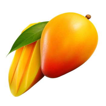 Mangobutter. Online-Verkauf. Toller Abend