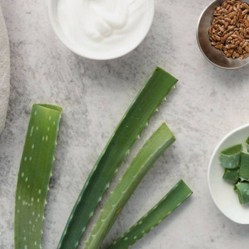 Aloe Vera Öl zur Verwendung in der Naturkosmetik.