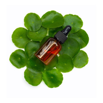 Kaufe Centella Asiatica Öl. Online-Verkauf.