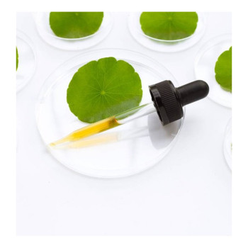 Kaufe Centella Asiatica Öl. Online-Verkauf.