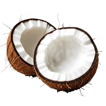 Kokosöl im Großhandel.