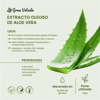 Öliger Extrakt aus Aloe Vera mit feuchtigkeitsspendender und beruhigender Wirkung.
