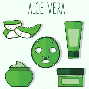 Öliger Extrakt aus Aloe Vera mit feuchtigkeitsspendender und beruhigender Wirkung.