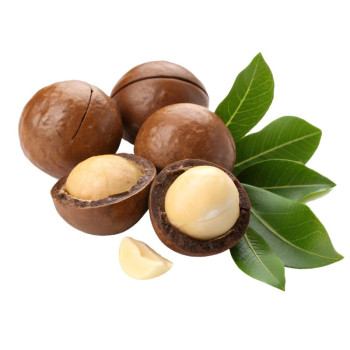 Aromatische Essenz Kokos-Sheabutter – Tropischer und umhüllender Duft