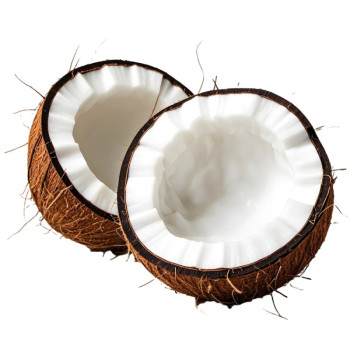 Aromatische Essenz Kokos-Sheabutter – Tropischer und umhüllender Duft
