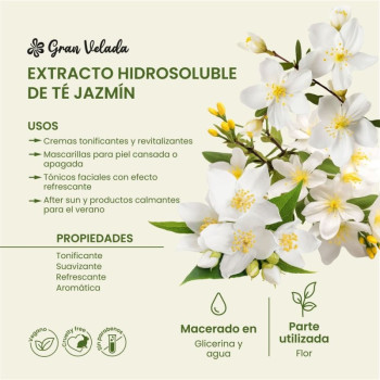 Wasserlöslicher Jasmintee-Extrakt - Strafft und revitalisiert die Haut