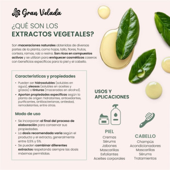 Wasserlöslicher Süßholzextrakt: beruhigender und antioxidativer Inhaltsstoff