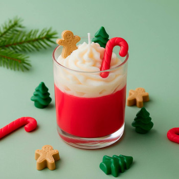 Weihnachtsform für Wachsschmelzen und Toppings. Toller Abend
