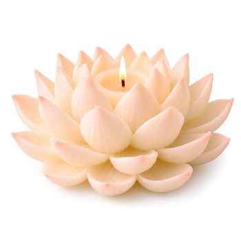 Molde de silicona para velas nenúfar | Gran Velada