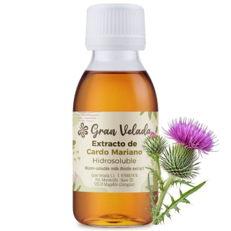 Extracto de cardo mariano - Activo antioxidante natural