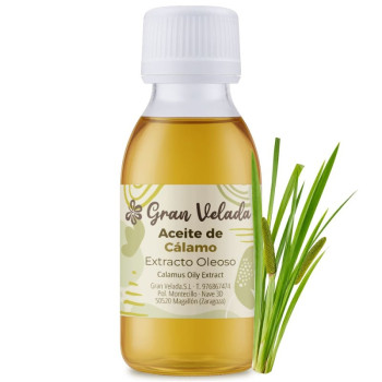 Extracto de cálamo hidrosoluble — Activo purificante natural